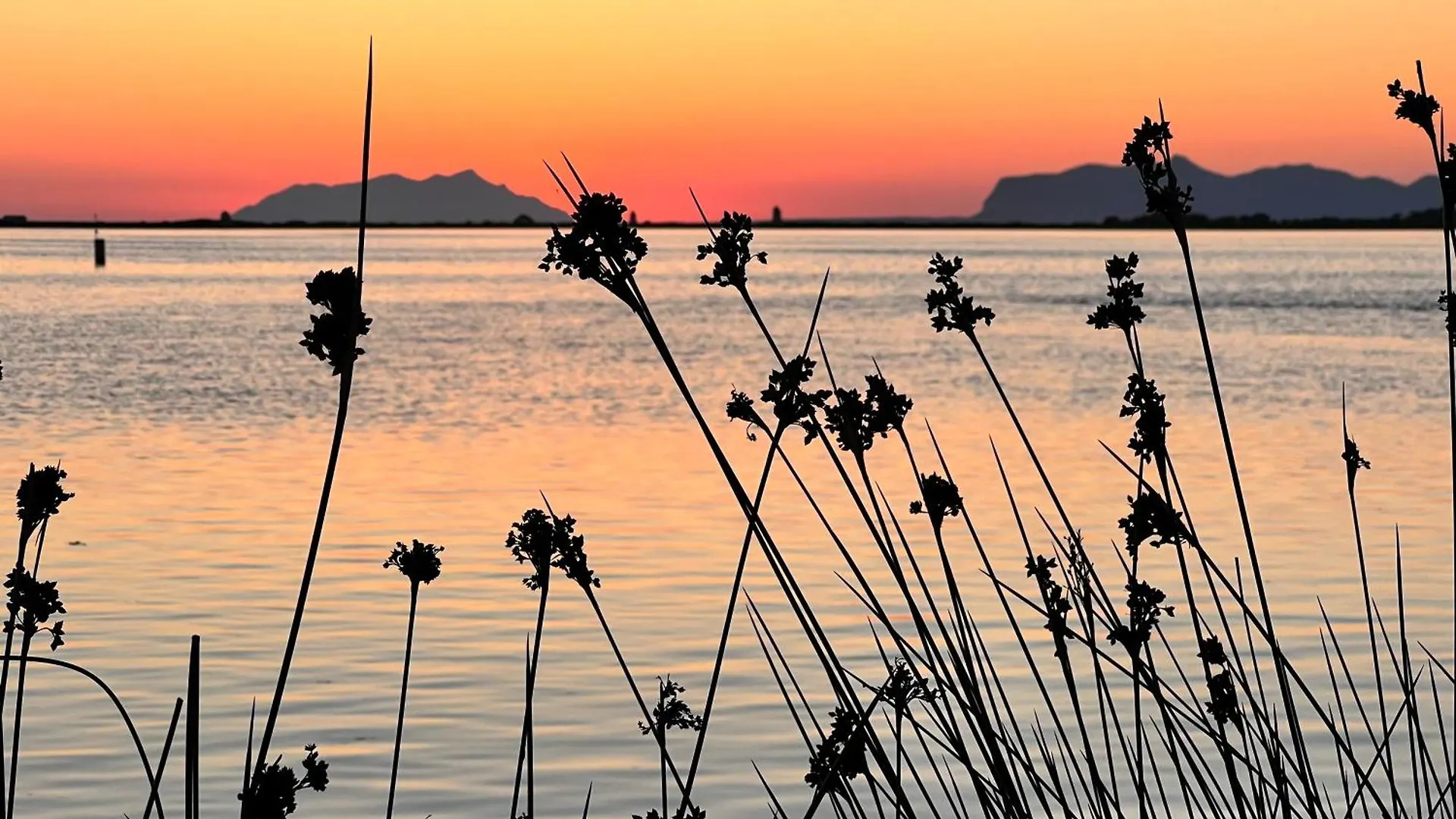 La Casa Di Sale Luxury Location For Kite Lovers Hotel Marsala Guest house